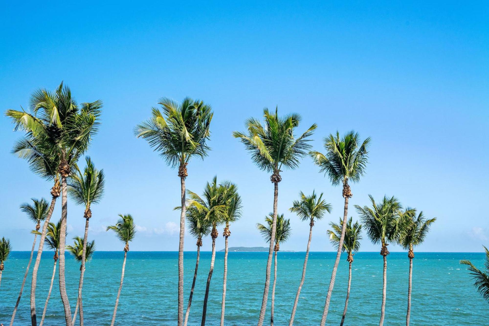 Appartamento Your Ocean Zen Oasis Fajardo Esterno foto